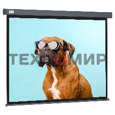 Экран Cactus 149.4x265.7см Wallscreen CS-PSW-149X265-SG 16:9 настенно-потолочный рулонный серый
