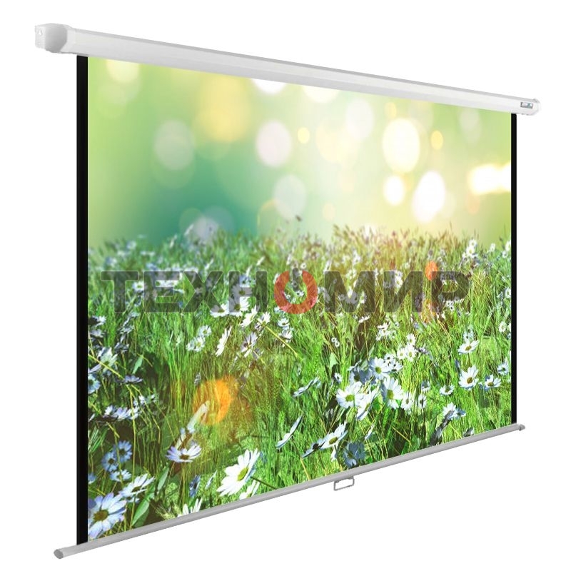Экран Cactus 200x200 см WallExpert CS-PSWE-200x200-WT 1:1 настенно-потолочный рулонный