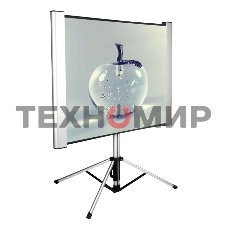 Экран Cactus 102x180 см TriAlExpert CS-PSTALE-180X102 16:9 напольный рулонный