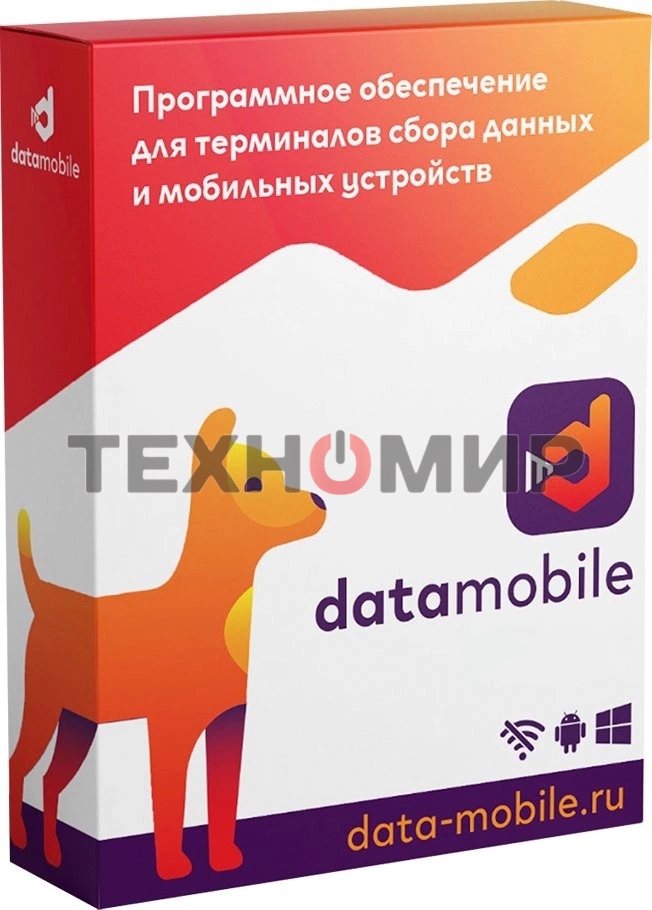 Программное обеспечение Неискл. право на исп-ие DataMobile версия Стандарт LifeTime (DM)