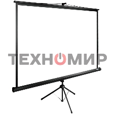 Экран Cactus 165x220 см TriExpert CS-PSTE-220х165-BK 4:3 напольный рулонный