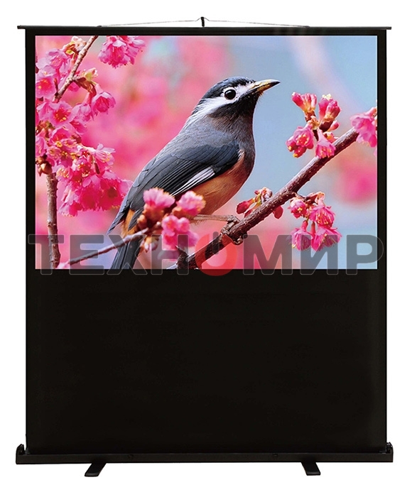 Экран Cactus 90x120 см FloorCompactExpert CS-PSFLCE-120X90 4:3 напольный рулонный