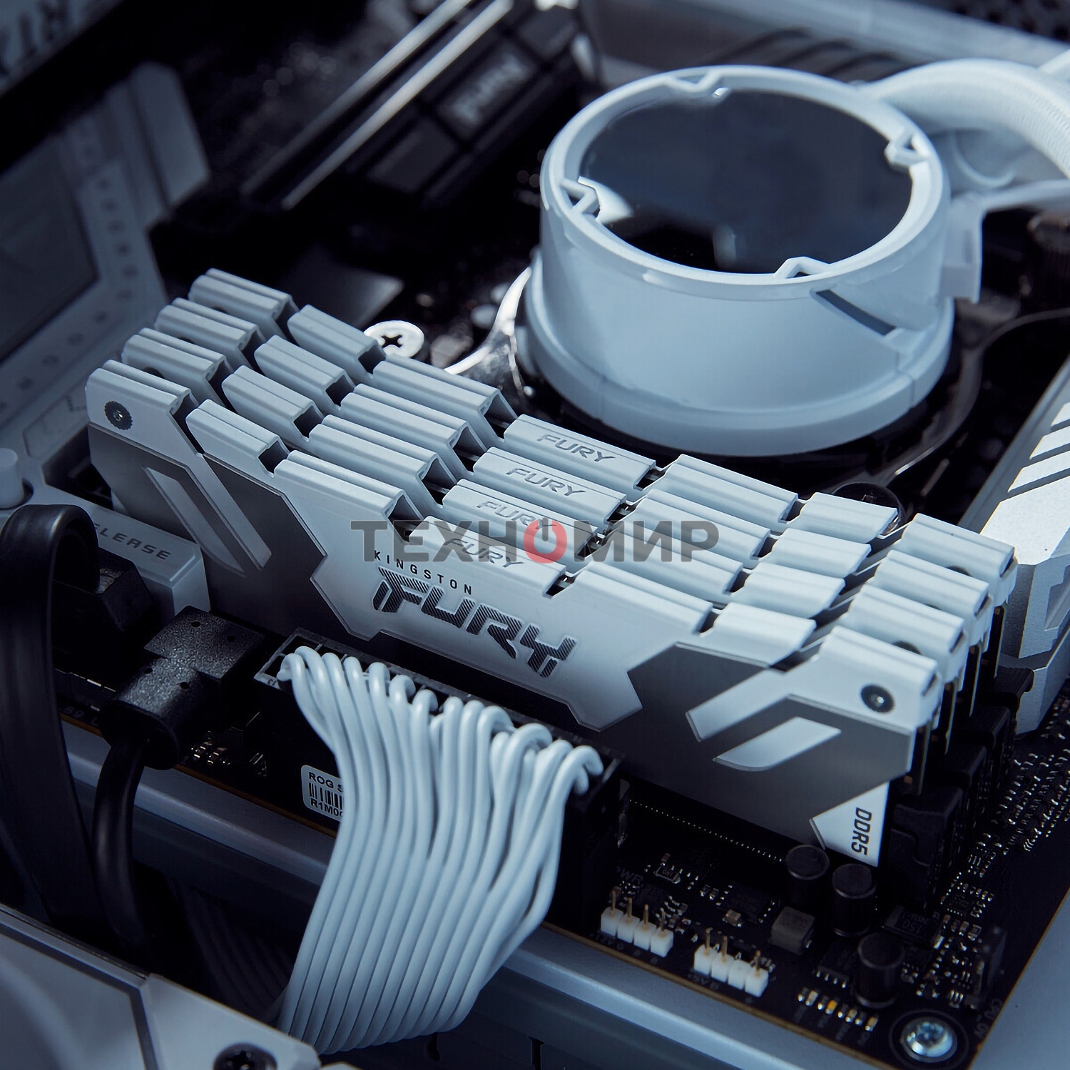 Оперативная память Kingston Fury Renegade, DDR5, 32Gb (1x32Gb), 6400MHz, CL32, DIMM, радиатор, белый