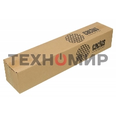 Бумага Cactus CS-PP230-61030 24