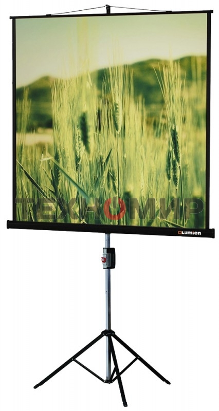 Экраны LUMIEN LUMIEN Master Picture LMP-100101, 127х127 см, 1:1