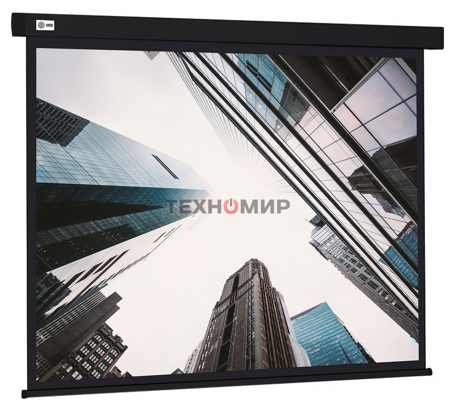 Экран Cactus 124.5x221 см Wallscreen CS-PSW-124X221-BK 16:9 настенно-потолочный рулонный черный
