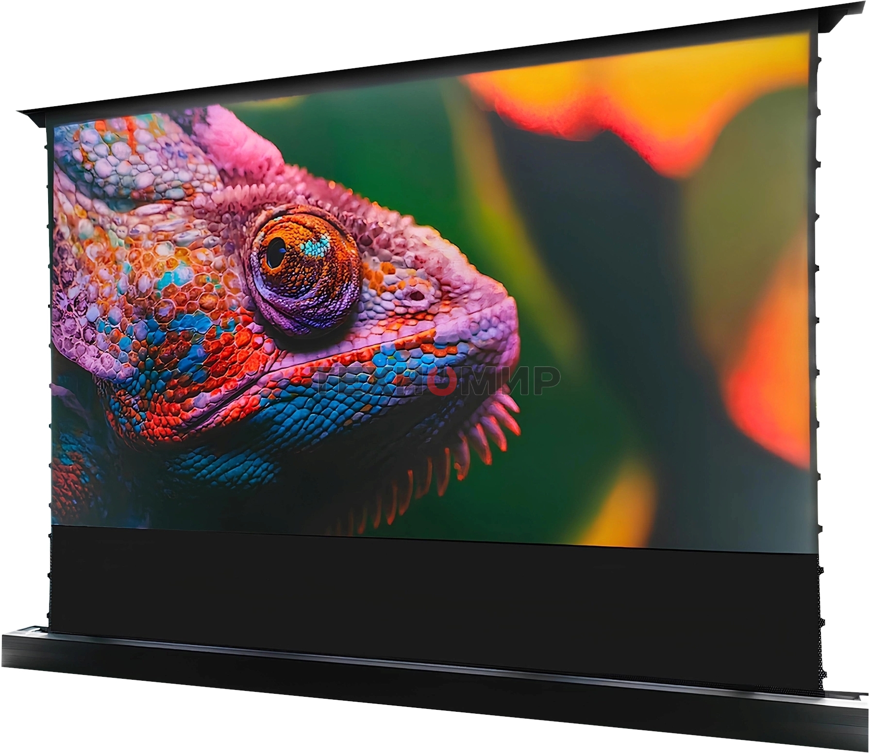 Экран Cactus 125x221 см FloorRising CS-PSFRCLR-221X125 16:9 напольный рулонный черный (моторизованный привод)