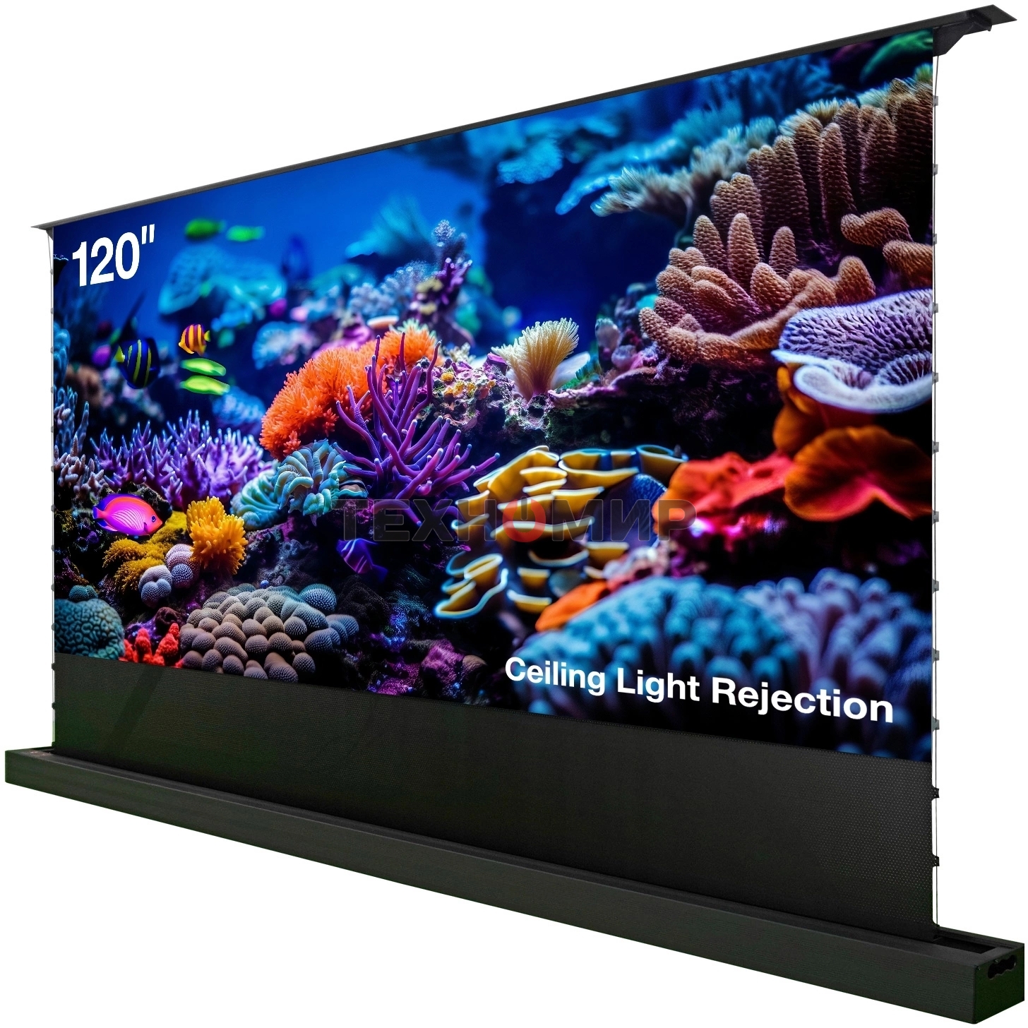 Экран Cactus 148x263см FloorRising CS-PSFRCLR-263X148 16:9 напольный рулонный черный (моторизованный привод)