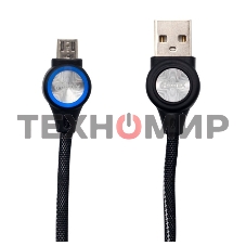 Кабель RITMIX RCC-419 черный