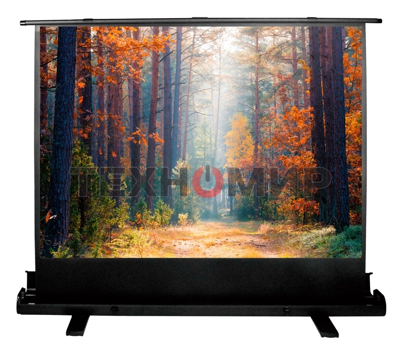 Экран Cactus 135x180 см FloorExpert CS-PSFLE-180X135 4:3 напольный рулонный