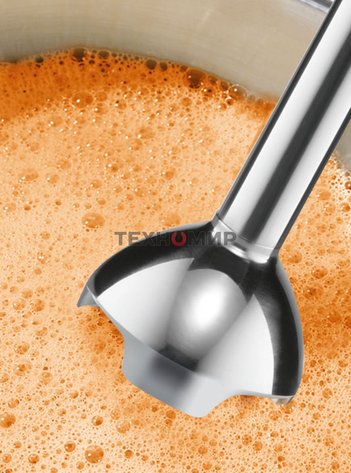 Блендер погружной Bosch MSM2620B черный