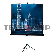 Экран на штативе Lumien Master View 244x244 см Matte White FiberGlass (LMV-100105)