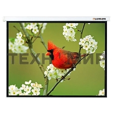 Экран Lumien 171x128см Master Picture LMP-100108 4:3 настенно-потолочный рулонный белый