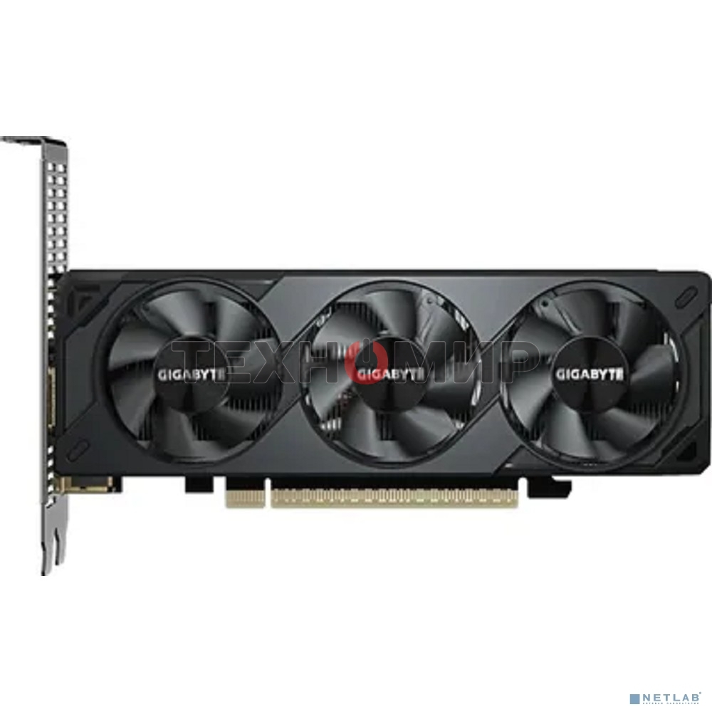 Видеокарта Gigabyte GeForce RTX5050 OC Low Profile, NVIDIA RTX 5050, 8 ГБ GDDR6, 128 бит, PCI-e 5.0, 2xHDMI, 2xDP, 2587 МГц