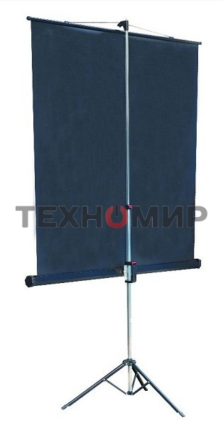 Экран на штативе Lumien Master View 244x244 см Matte White FiberGlass (LMV-100105)