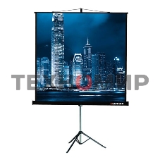 Экран на треноге Lumien 203x203см Master View LMV-100109 1:1 напольный рулонный