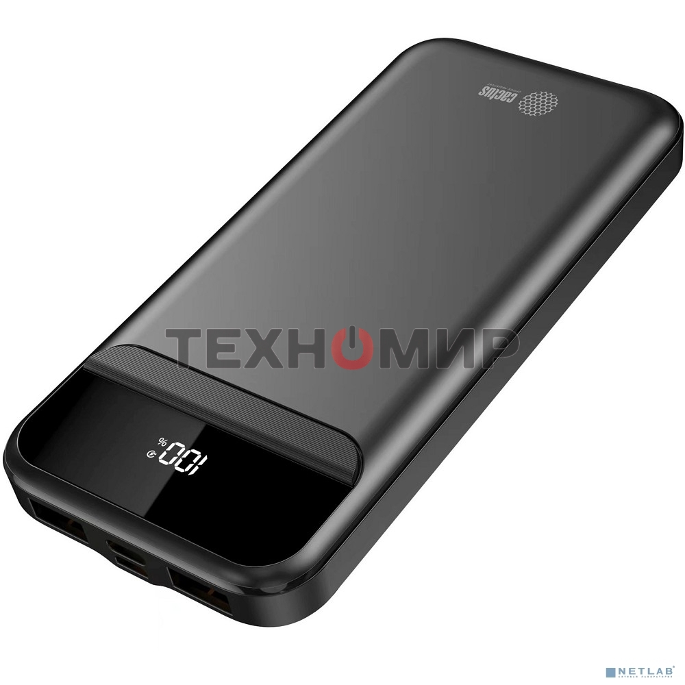 Портативный аккумулятор Cactus CS-PBFSCA-10000 10000mAh 4.5A 2xUSB-A/USB-C черный