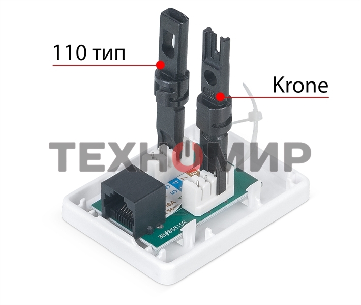 Розетка в сборе Cabeus, 1x RJ45(8P8C), кат. 6, неэкр., внешняя, белый, (WS-8P8C-Cat.6-1)