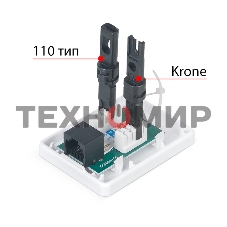 Розетка в сборе Cabeus, 1x RJ45(8P8C), кат. 6, неэкр., внешняя, белый, (WS-8P8C-Cat.6-1)