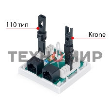 Розетка в сборе Cabeus, 2x RJ45(8P8C), кат. 6, неэкр., внешняя, белый, (WS-8P8C-Cat.6-2)