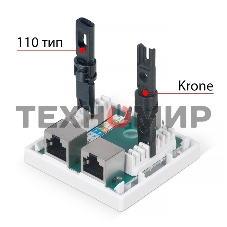 Розетка в сборе Cabeus, 2x RJ45(8P8C), кат. 5е, экр., внешняя, белый, (WS-8P8C-Cat.5e-SH-2)