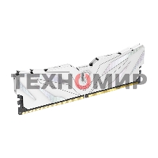 Оперативная память NETAC, DDR4, 8GB (1x8GB), 2666MHz, CL19, DIMM, с радиатором, белый