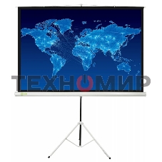 Экран Cactus 150x150 см Triscreen CS-PST-150x150 1:1 напольный рулонный белый